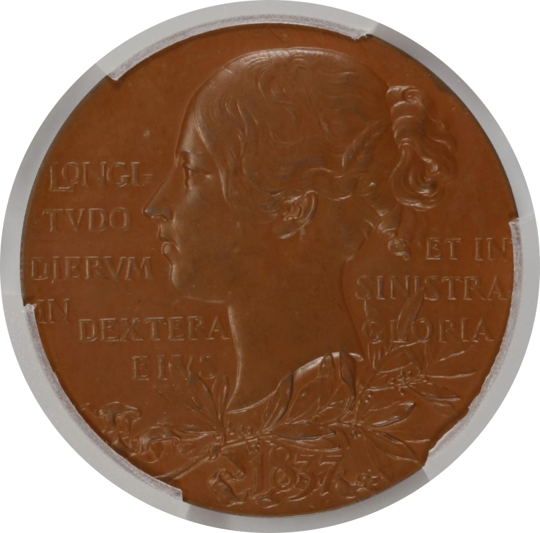 1897 Medal Eimer-1817a Bronzed AE (Special Strike)