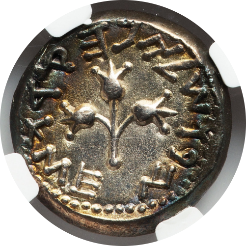 Jewish War, AD 66-70 JUDAEA AR Shekel